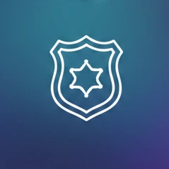Quick and efficient criminal record checks